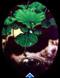 Отпустить себя