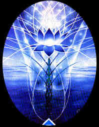 Восприимчивость